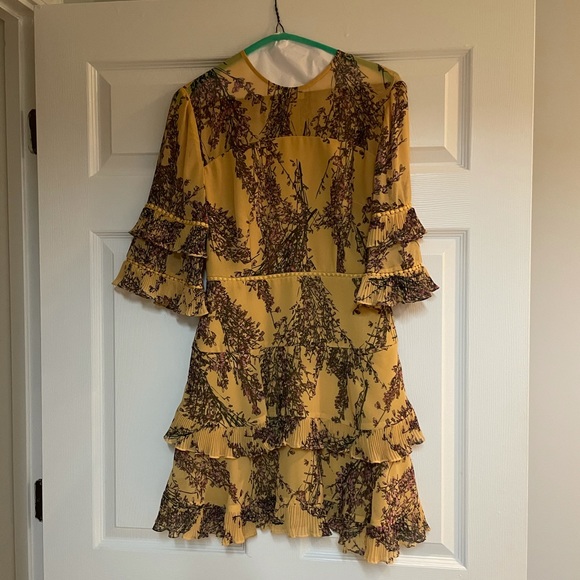 Keepsake the Label Ruffled Dress - Picture 2 of 5